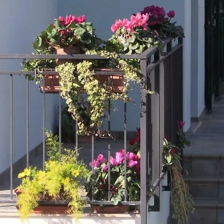 Stella Del Mare Guest house